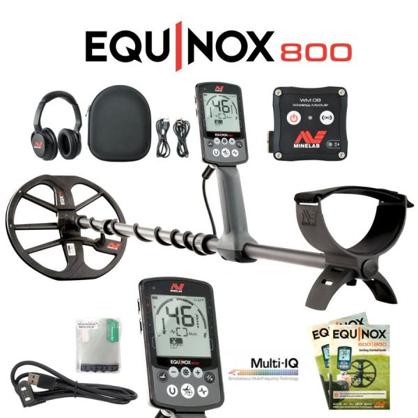 Minelab Equinox 800 + Campaign Free Go-Find 11